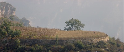 喊·山剧照的剧照