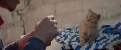 喊·山剧照的剧照