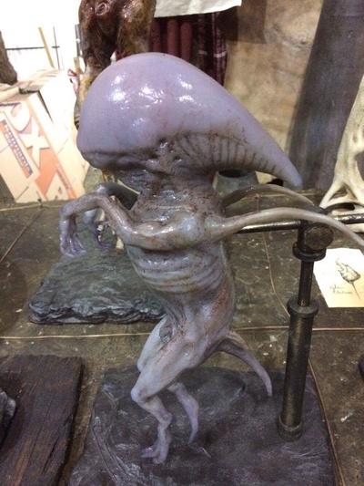 异形：契约剧照的剧照