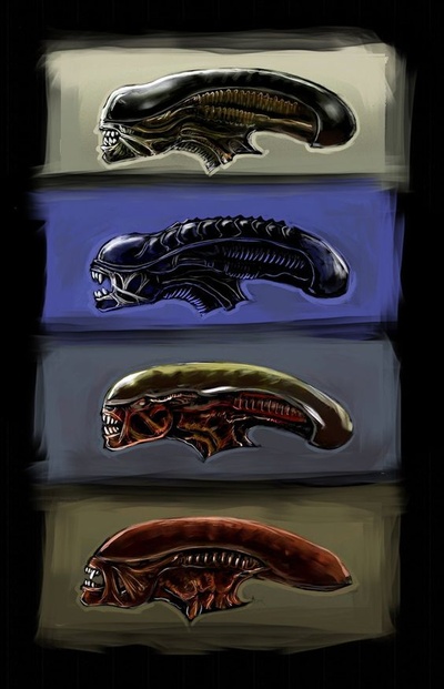 异形：契约剧照的剧照