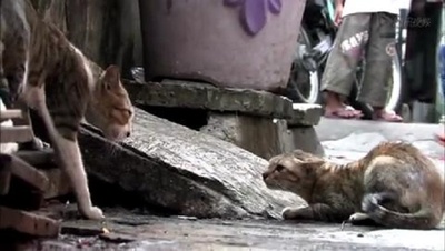 群星之间剧照的剧照