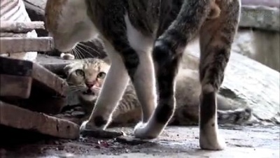 群星之间剧照的剧照