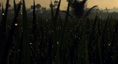 群星之间剧照的剧照