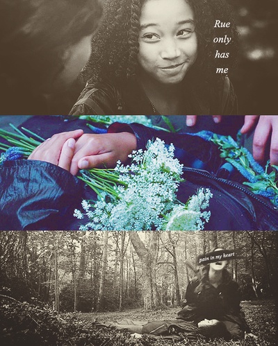 饥饿游戏剧照的剧照