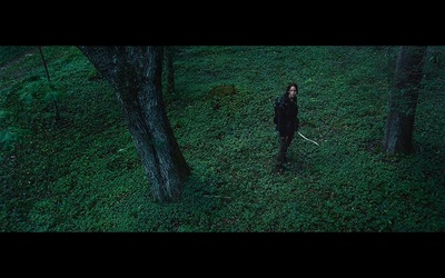 饥饿游戏剧照的剧照