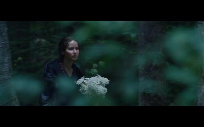 饥饿游戏剧照的剧照