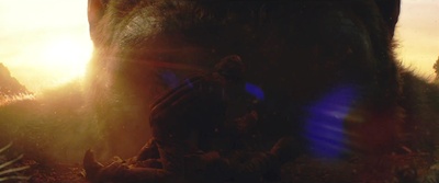 金刚：骷髅岛剧照的剧照