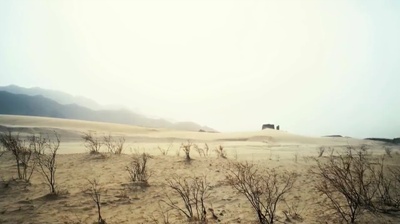 桃姐剧照的剧照