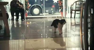 桃姐剧照的剧照