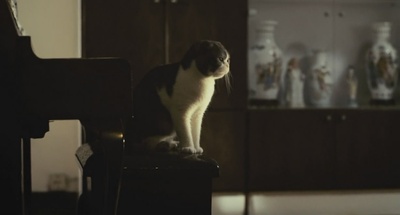 桃姐剧照的剧照