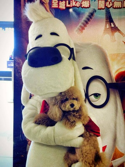 天才眼镜狗剧照的剧照