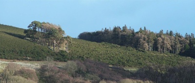 弗兰克剧照的剧照