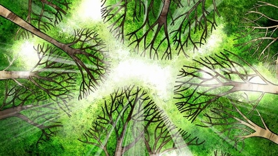 凯尔经的秘密剧照的剧照