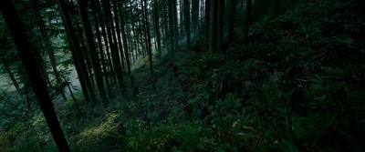 猩球崛起3：终极之战剧照的剧照