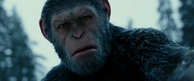 猩球崛起3：终极之战剧照的剧照