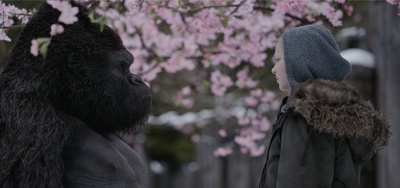 猩球崛起3：终极之战剧照的剧照