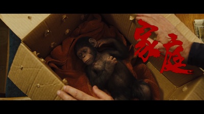 猩球崛起3：终极之战剧照的剧照