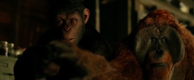 猩球崛起3：终极之战剧照的剧照