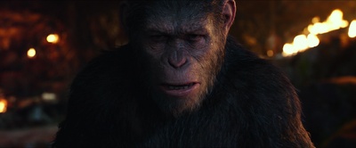 猩球崛起3：终极之战剧照的剧照