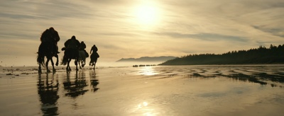 猩球崛起3：终极之战剧照的剧照