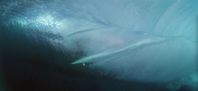 灵魂冲浪人剧照的剧照