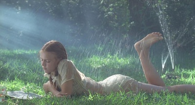 一树梨花压海棠剧照的剧照