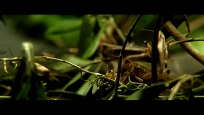 法老与众神剧照的剧照