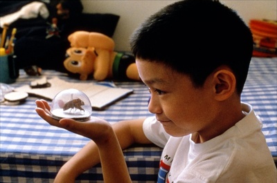 一一剧照的剧照