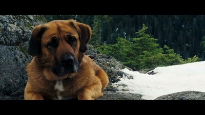 生死狙击剧照的剧照