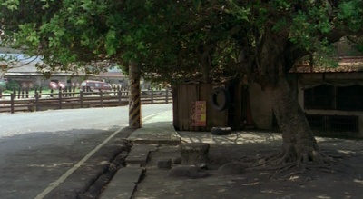 九降风剧照的剧照