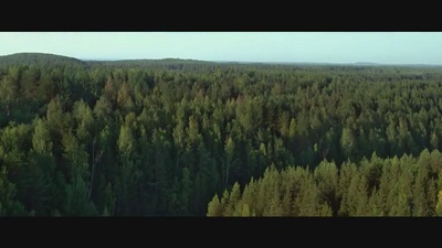 这里的黎明静悄悄剧照的剧照