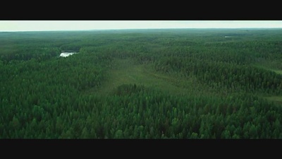 这里的黎明静悄悄剧照的剧照