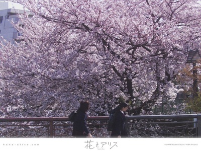 花与爱丽丝剧照的剧照