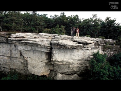 林中漫步剧照的剧照