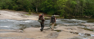 林中漫步剧照的剧照