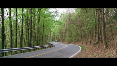 林中漫步剧照的剧照