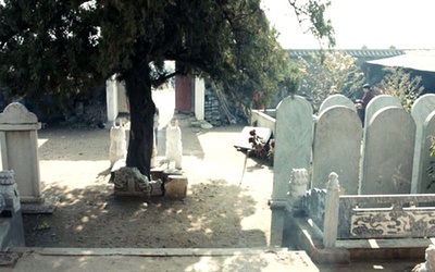 心迷宫剧照的剧照