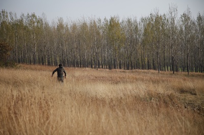 心迷宫剧照的剧照