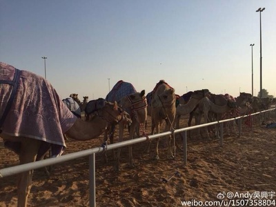 功夫瑜伽剧照的剧照