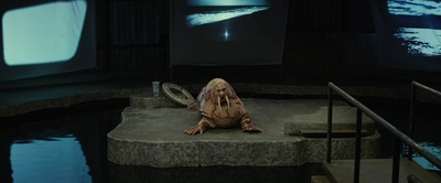 长牙剧照的剧照