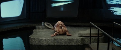 长牙剧照的剧照