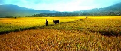 极限挑战之皇家宝藏剧照的剧照