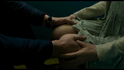 布拉芙夫人剧照的剧照