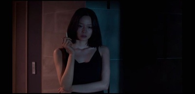 布拉芙夫人剧照的剧照