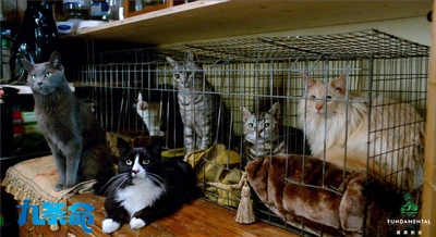 九条命剧照的剧照