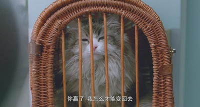 九条命剧照的剧照