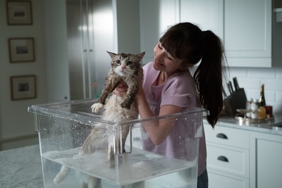 九条命剧照的剧照