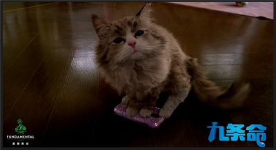 九条命剧照的剧照