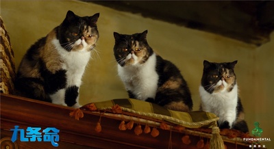 九条命剧照的剧照