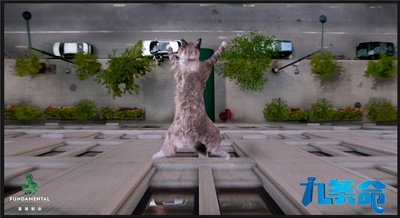 九条命剧照的剧照